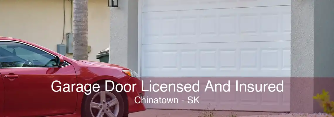 Garage Door Licensed And Insured Chinatown - SK