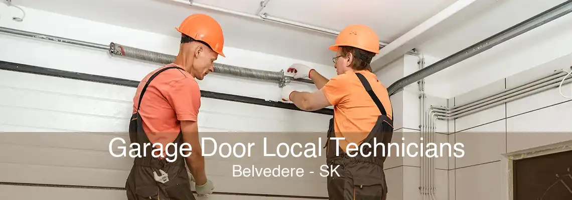 Garage Door Local Technicians Belvedere - SK