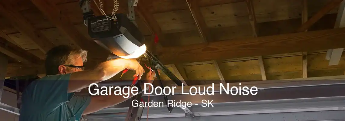 Garage Door Loud Noise Garden Ridge - SK