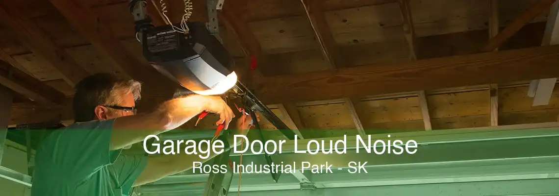 Garage Door Loud Noise Ross Industrial Park - SK