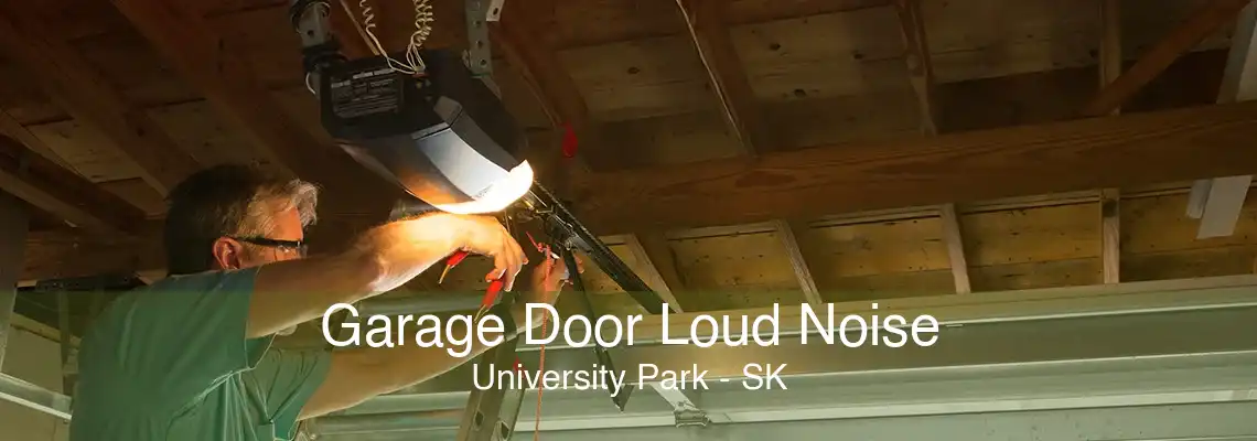 Garage Door Loud Noise University Park - SK