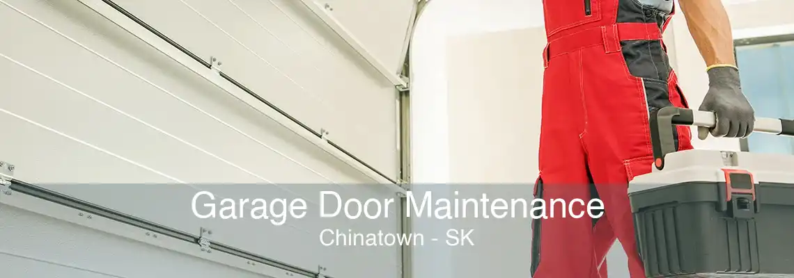 Garage Door Maintenance Chinatown - SK