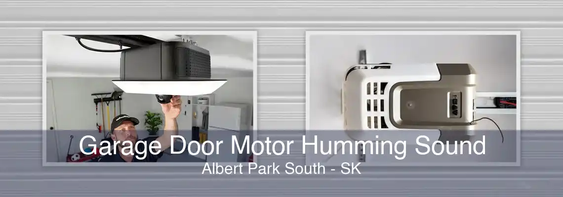 Garage Door Motor Humming Sound Albert Park South - SK