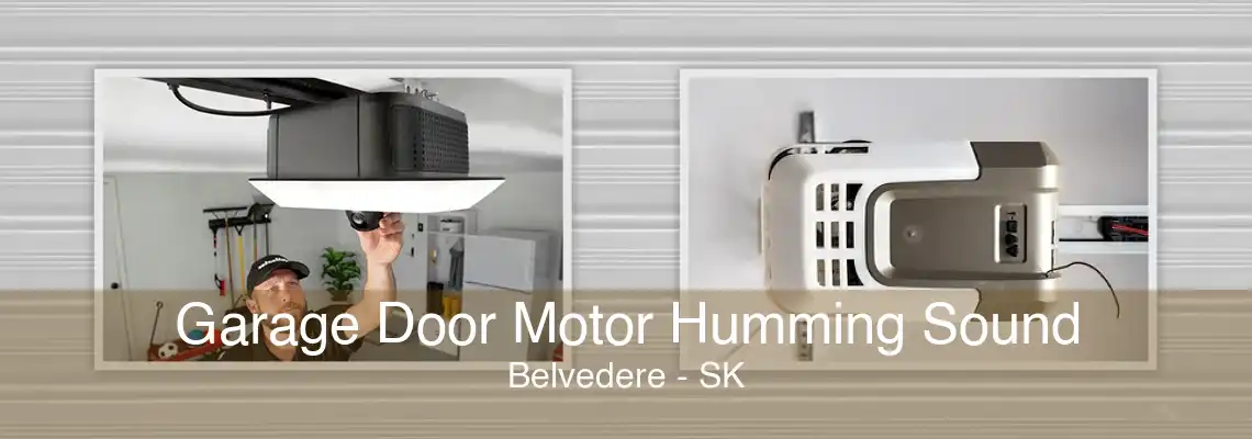 Garage Door Motor Humming Sound Belvedere - SK