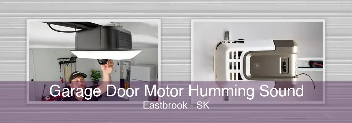 Garage Door Motor Humming Sound Eastbrook - SK