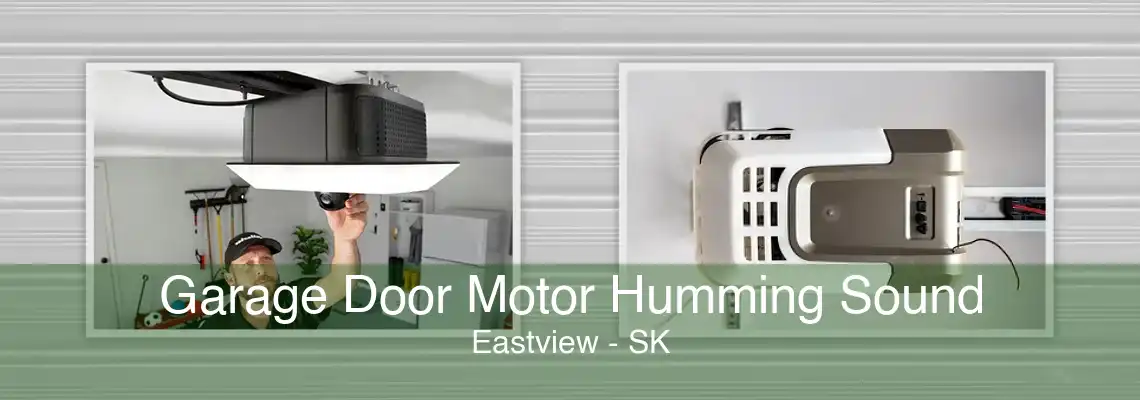 Garage Door Motor Humming Sound Eastview - SK