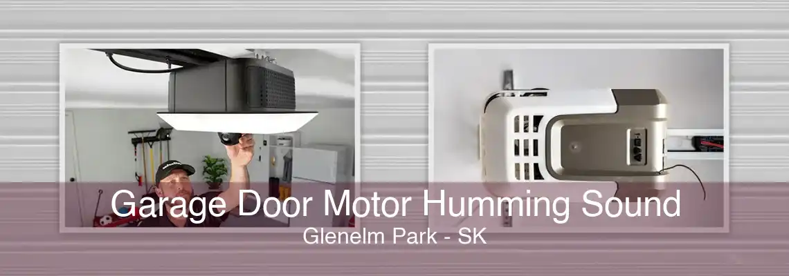 Garage Door Motor Humming Sound Glenelm Park - SK