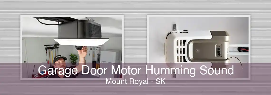 Garage Door Motor Humming Sound Mount Royal - SK