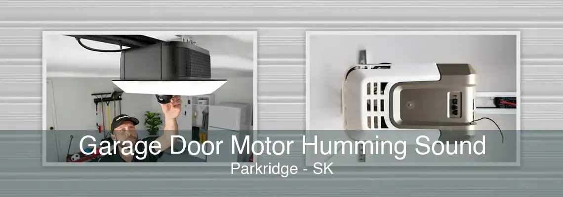 Garage Door Motor Humming Sound Parkridge - SK