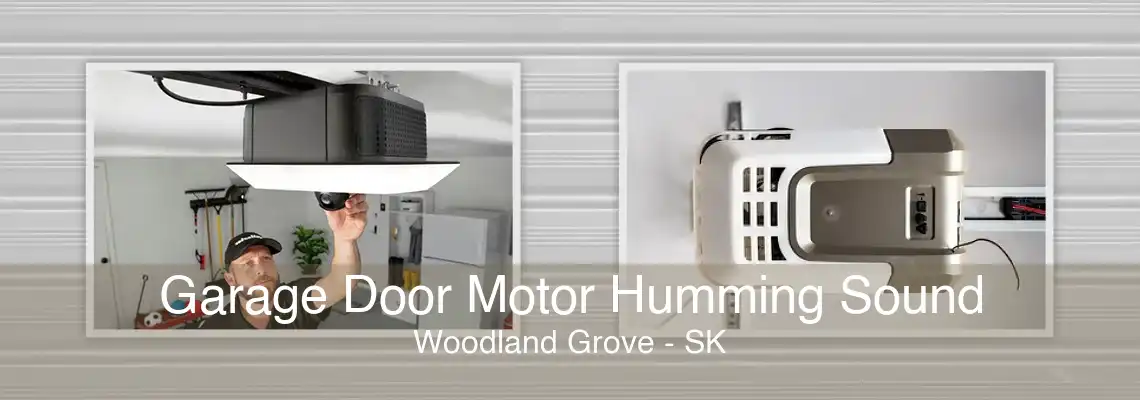 Garage Door Motor Humming Sound Woodland Grove - SK