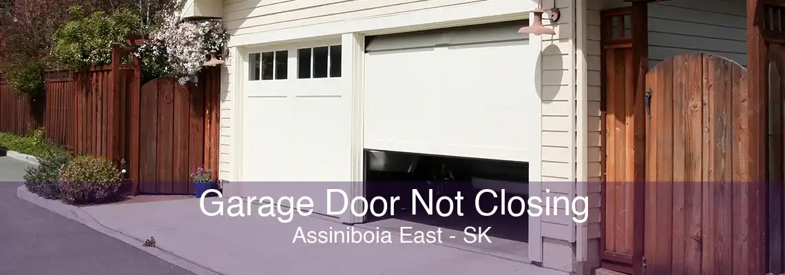 Garage Door Not Closing Assiniboia East - SK