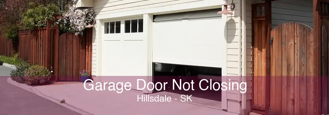 Garage Door Not Closing Hillsdale - SK