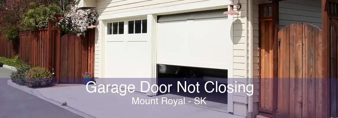 Garage Door Not Closing Mount Royal - SK