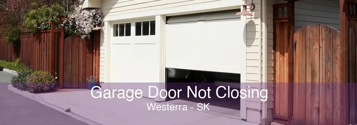 Garage Door Not Closing Westerra - SK