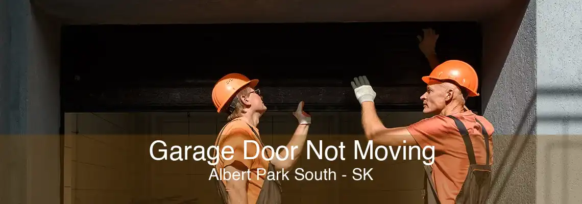 Garage Door Not Moving Albert Park South - SK