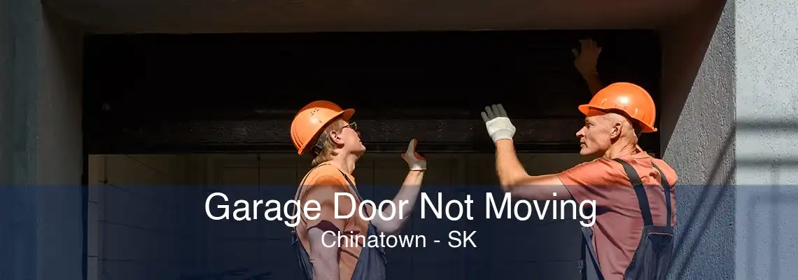 Garage Door Not Moving Chinatown - SK