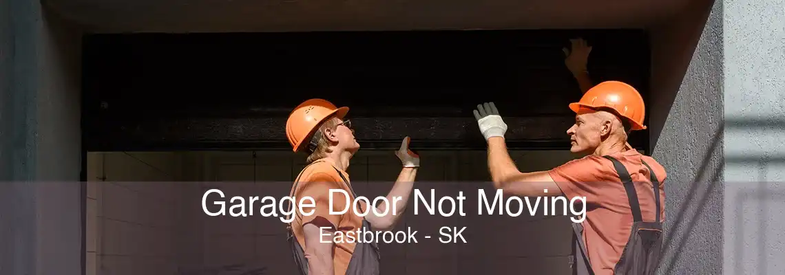 Garage Door Not Moving Eastbrook - SK