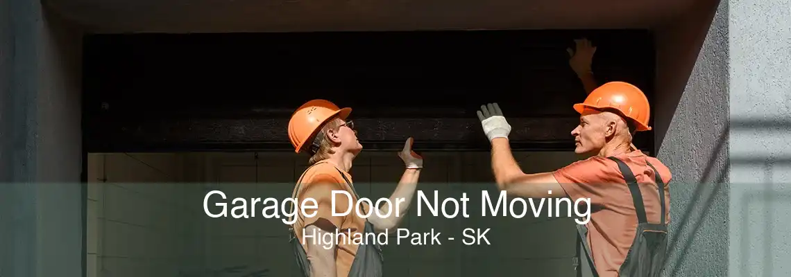 Garage Door Not Moving Highland Park - SK