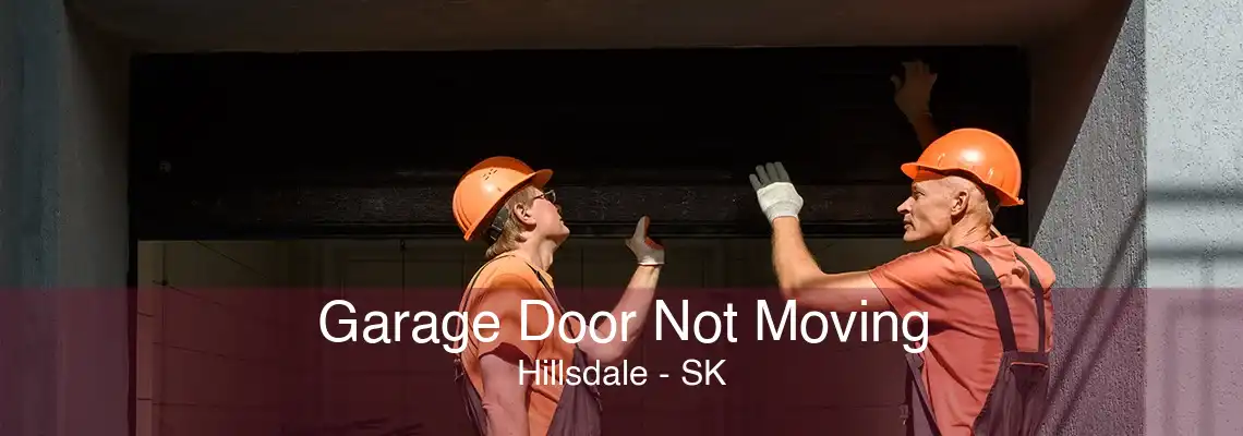 Garage Door Not Moving Hillsdale - SK