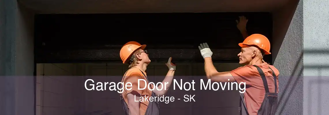 Garage Door Not Moving Lakeridge - SK