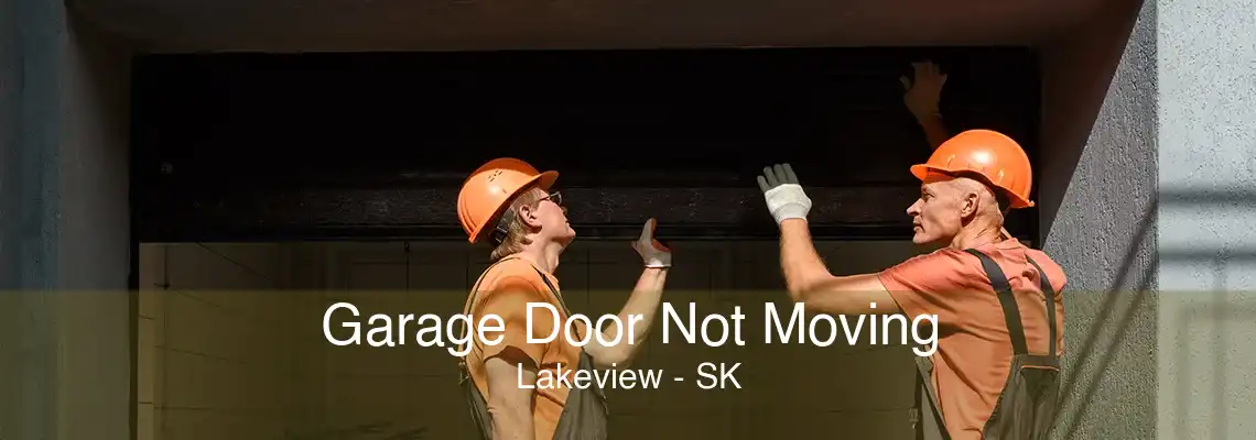 Garage Door Not Moving Lakeview - SK