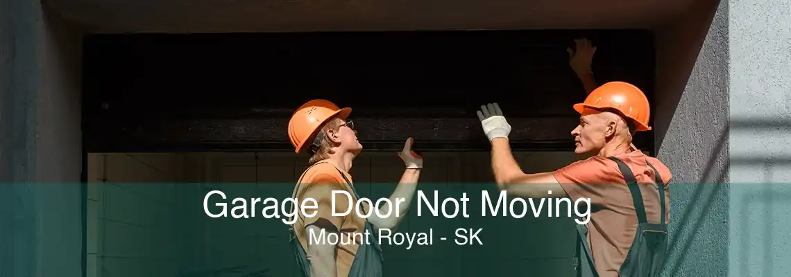 Garage Door Not Moving Mount Royal - SK