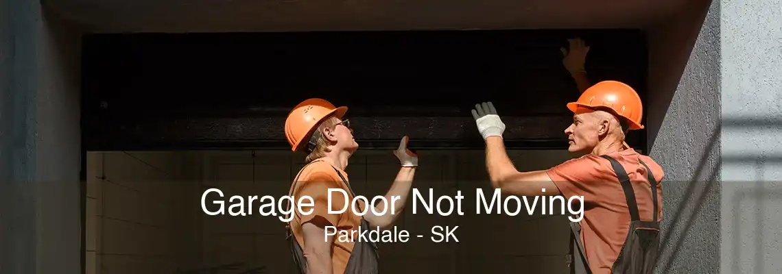 Garage Door Not Moving Parkdale - SK