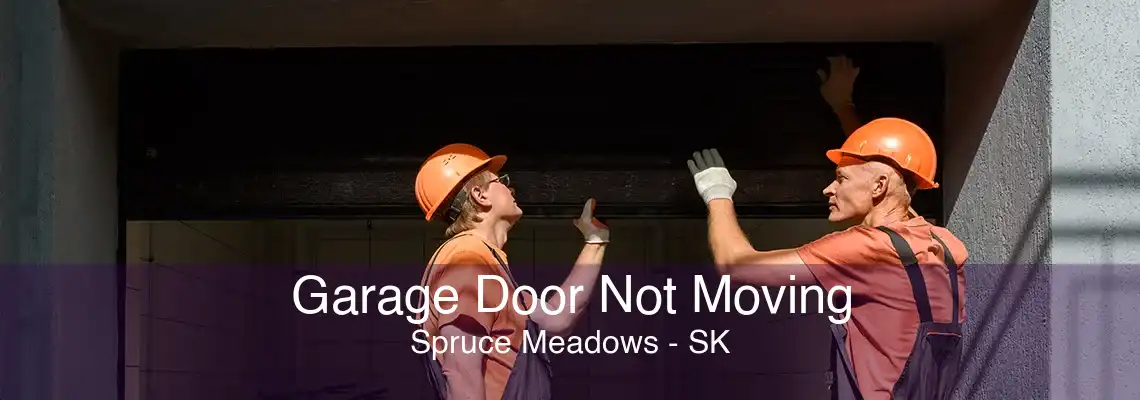 Garage Door Not Moving Spruce Meadows - SK