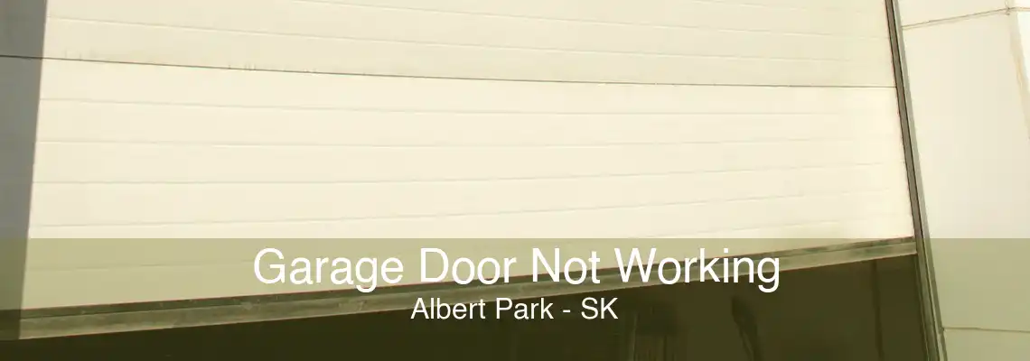 Garage Door Not Working Albert Park - SK