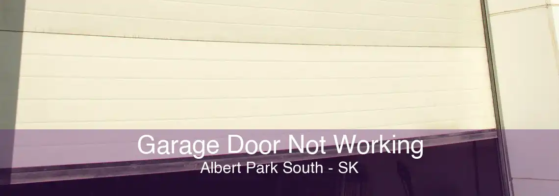 Garage Door Not Working Albert Park South - SK