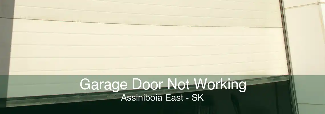 Garage Door Not Working Assiniboia East - SK