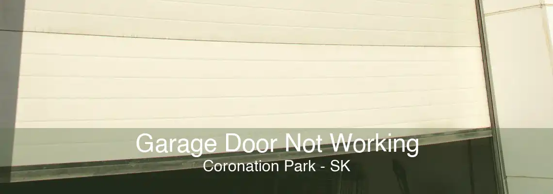 Garage Door Not Working Coronation Park - SK