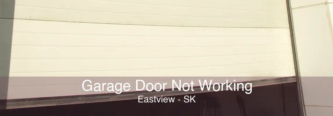 Garage Door Not Working Eastview - SK