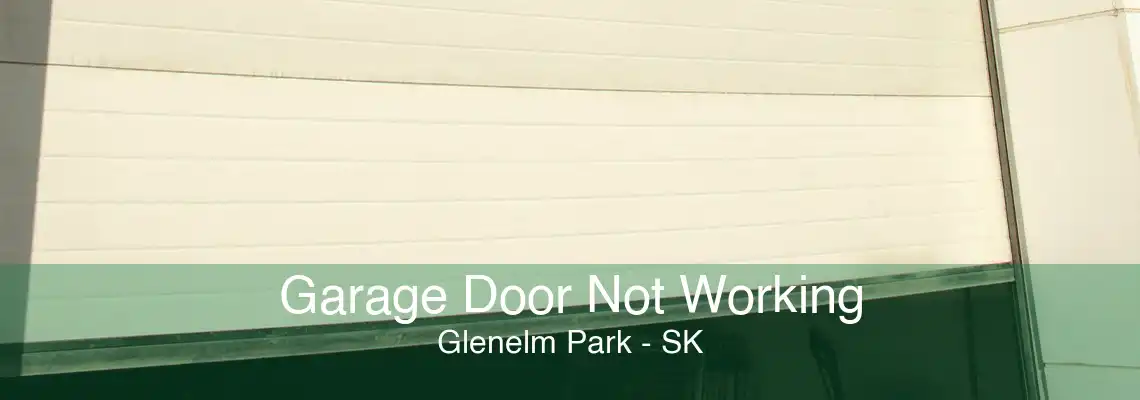 Garage Door Not Working Glenelm Park - SK