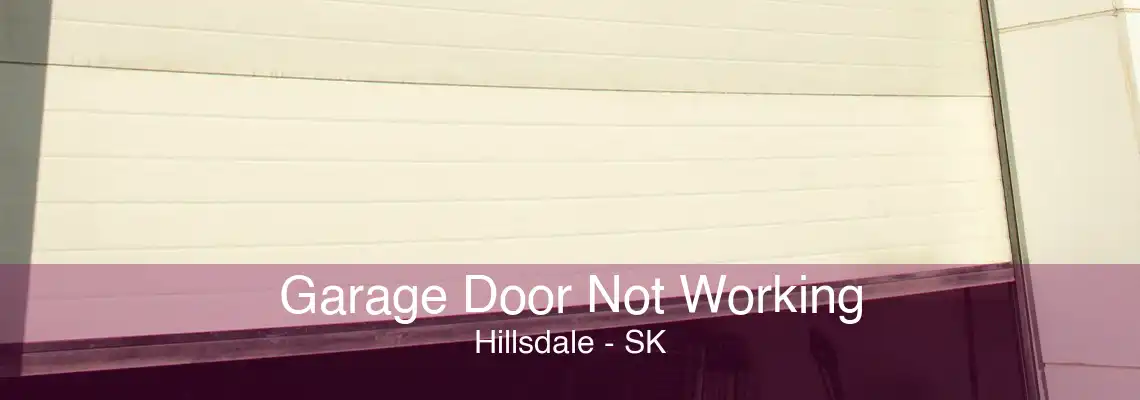 Garage Door Not Working Hillsdale - SK