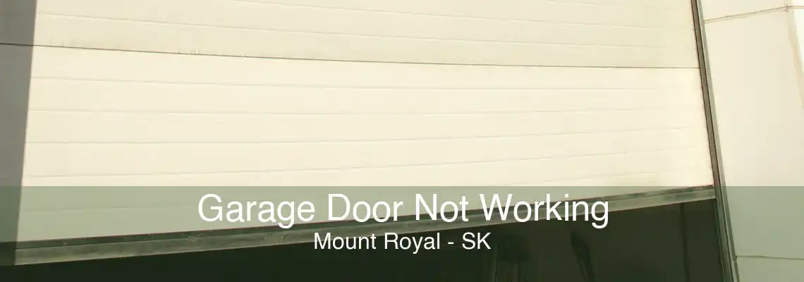 Garage Door Not Working Mount Royal - SK