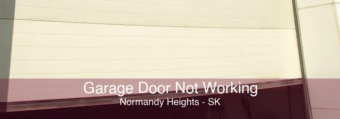 Garage Door Not Working Normandy Heights - SK