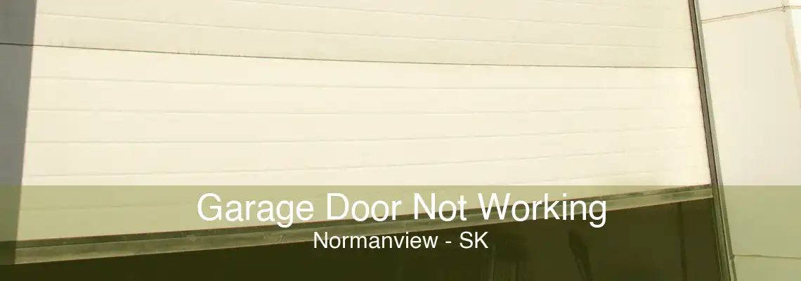 Garage Door Not Working Normanview - SK