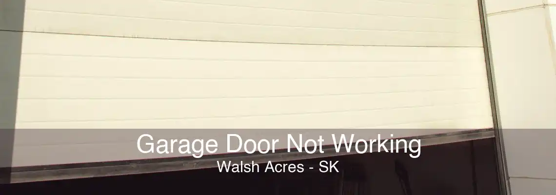 Garage Door Not Working Walsh Acres - SK