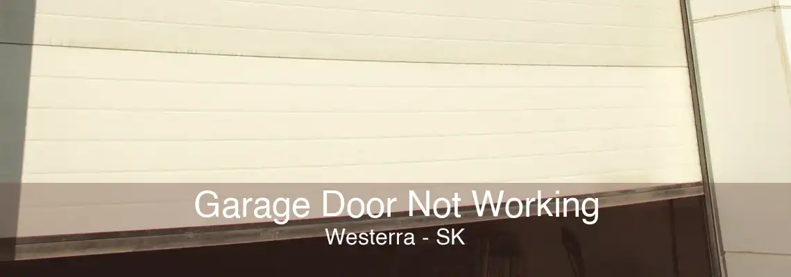 Garage Door Not Working Westerra - SK