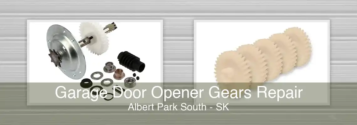 Garage Door Opener Gears Repair Albert Park South - SK