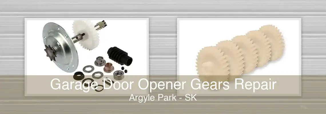 Garage Door Opener Gears Repair Argyle Park - SK