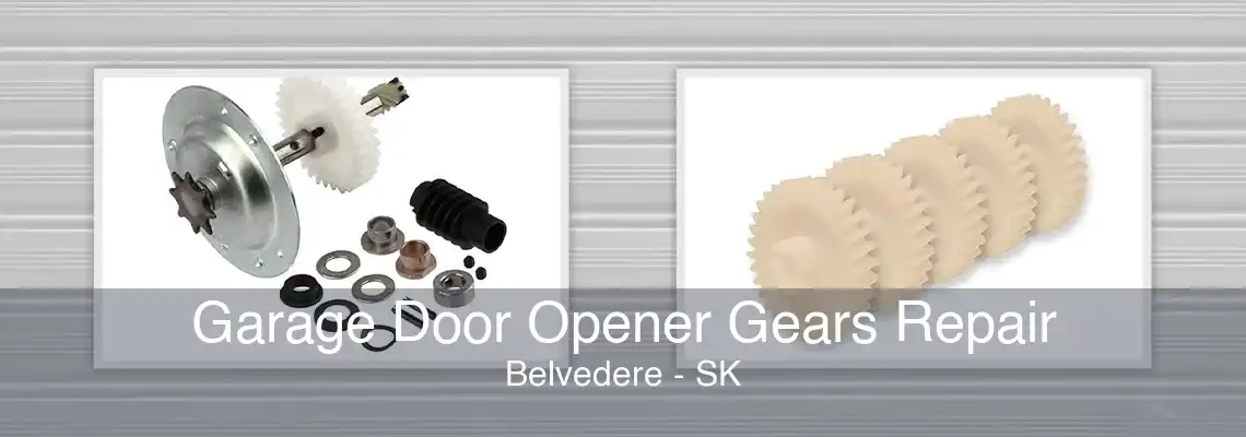 Garage Door Opener Gears Repair Belvedere - SK