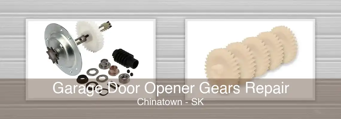 Garage Door Opener Gears Repair Chinatown - SK