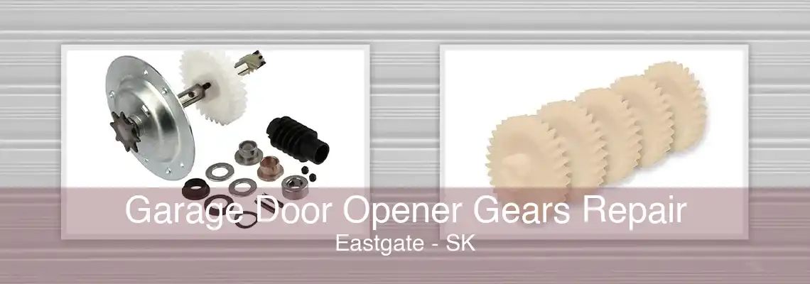 Garage Door Opener Gears Repair Eastgate - SK