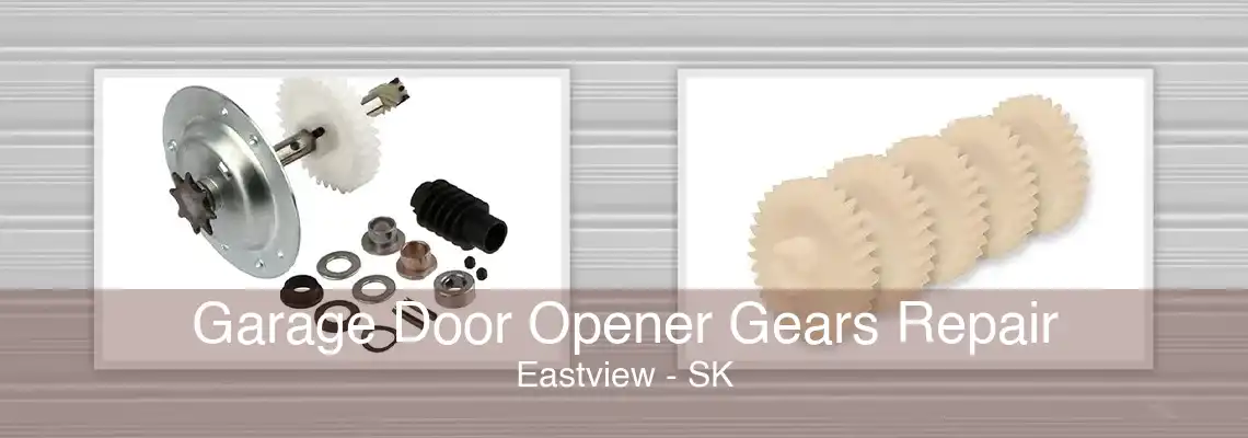 Garage Door Opener Gears Repair Eastview - SK