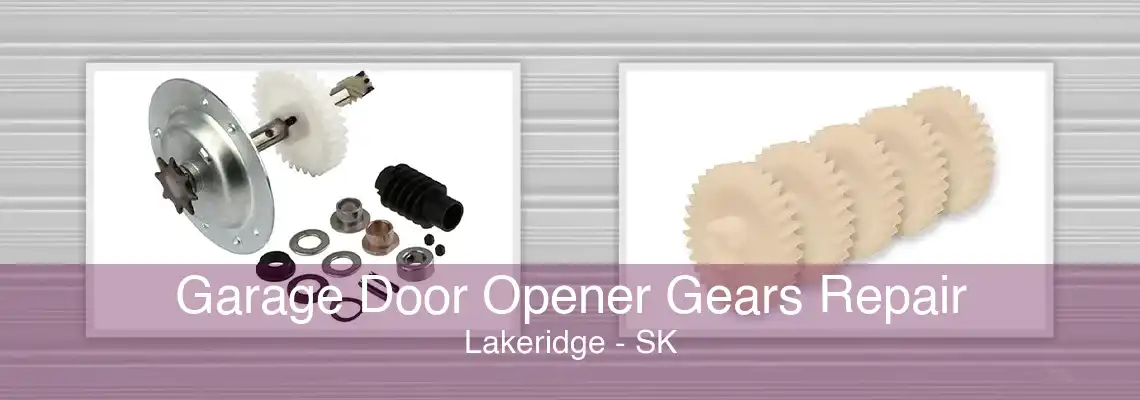 Garage Door Opener Gears Repair Lakeridge - SK