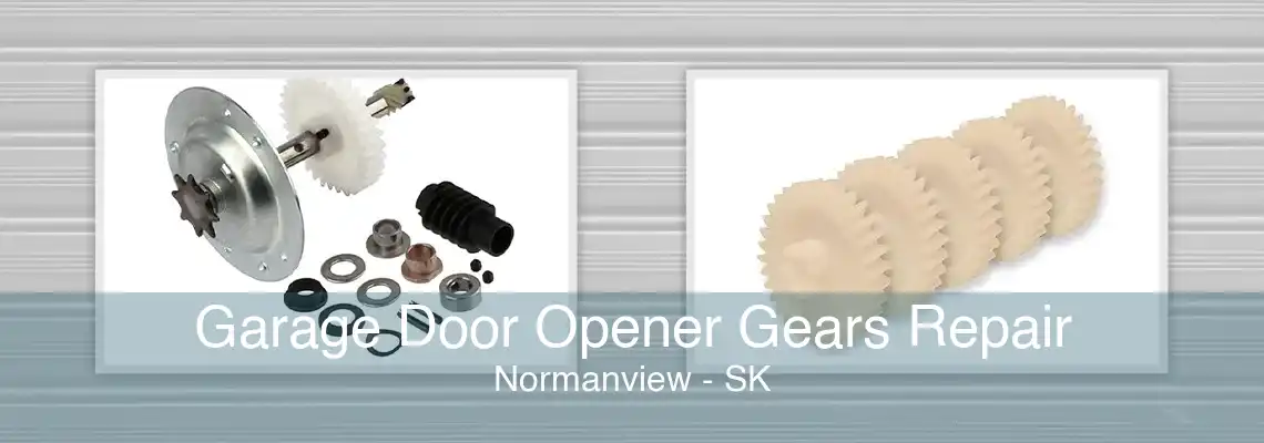 Garage Door Opener Gears Repair Normanview - SK