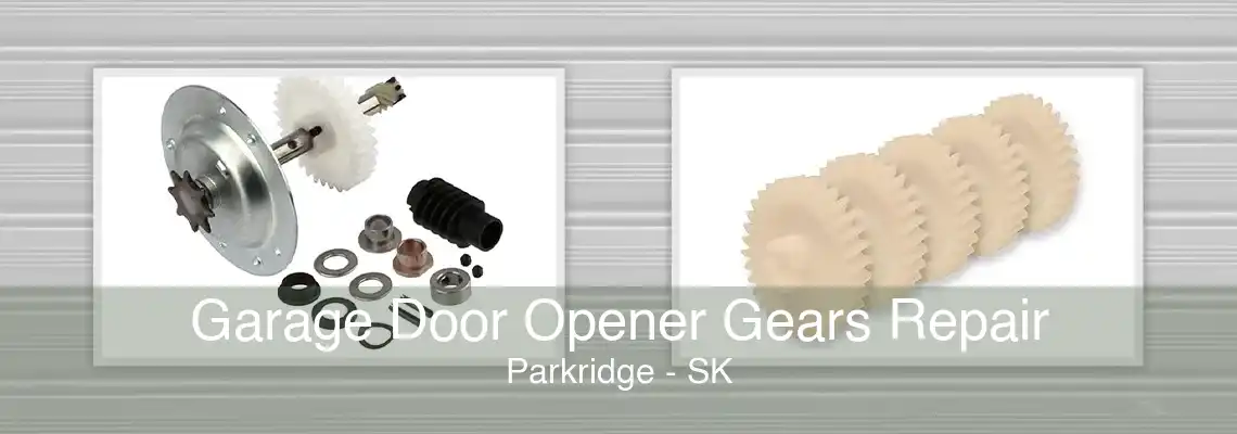 Garage Door Opener Gears Repair Parkridge - SK