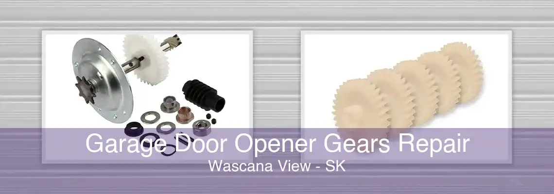 Garage Door Opener Gears Repair Wascana View - SK